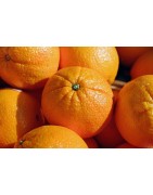 Oranges